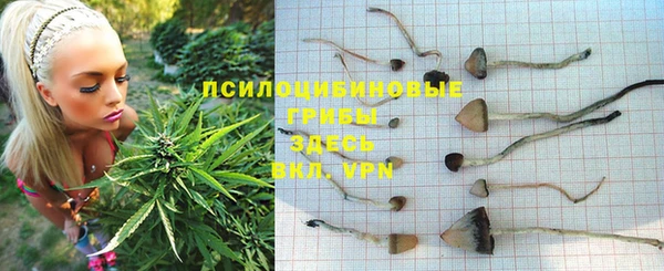 альфа пвп Горнозаводск
