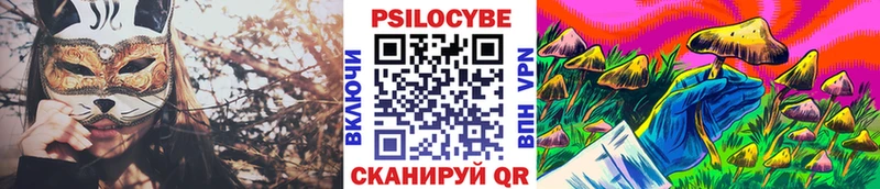 Галлюциногенные грибы Psilocybe  Жирновск 